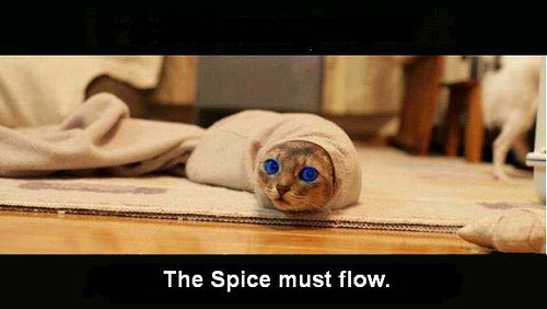 the-spice-must-flow.jpg