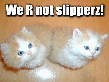 we-r-not-slipperz.jpg