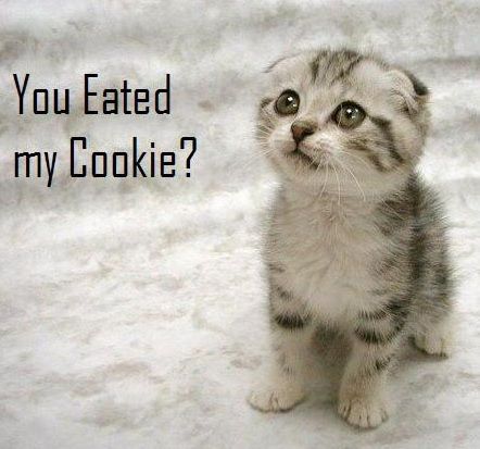 you-eated-my-cookie.jpg